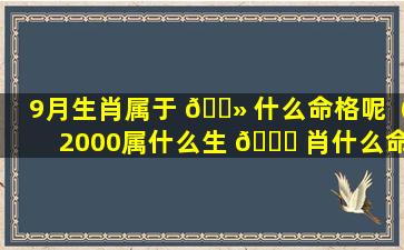 9月生肖属于 🌻 什么命格呢（2000属什么生 🐟 肖什么命格）